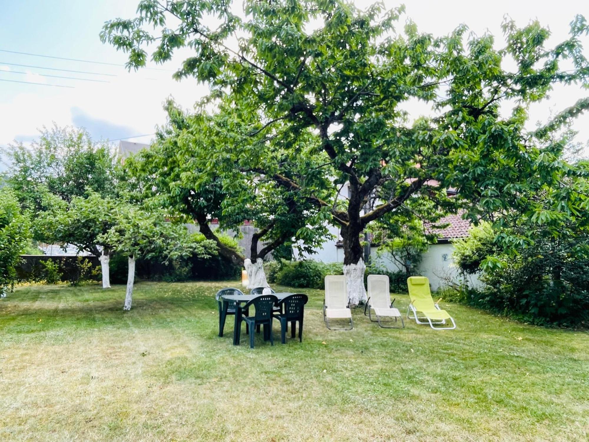 Apartament L'Ecureuil Gérardmer Zewnętrze zdjęcie