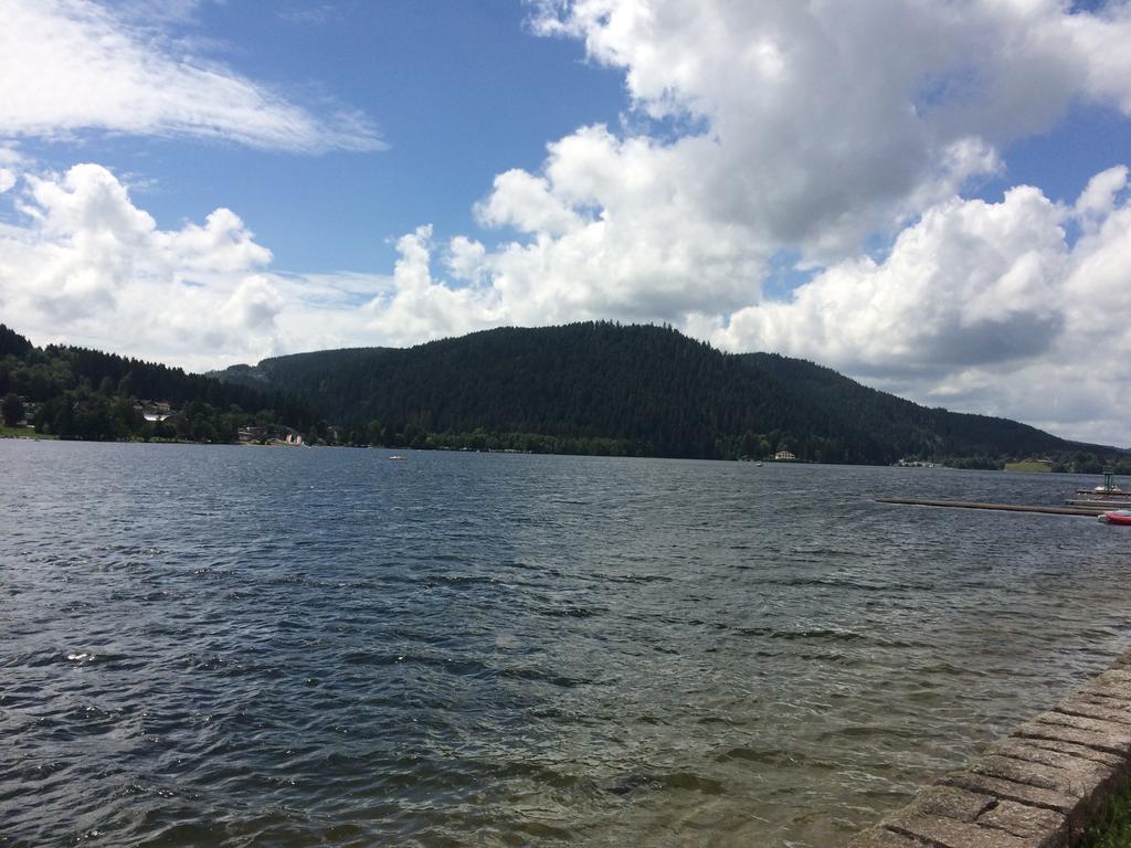 Apartament L'Ecureuil Gérardmer Zewnętrze zdjęcie